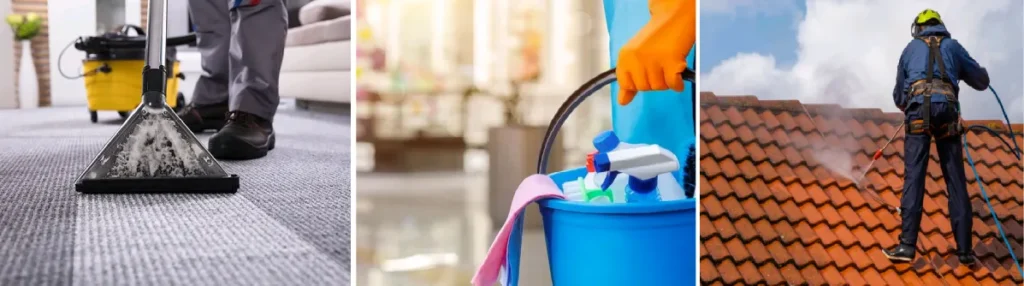 TMS Stellar Reiniger