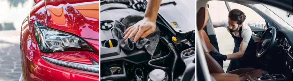 TMS Stellar Reiniger 3